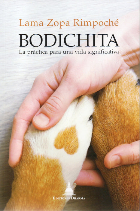 Bodichita