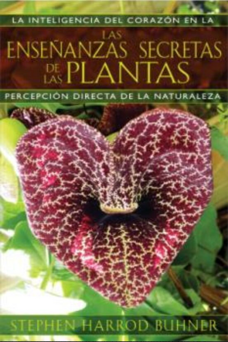 Las enseñanzas secretas de las plantas   Percepción directa de la naturaleza