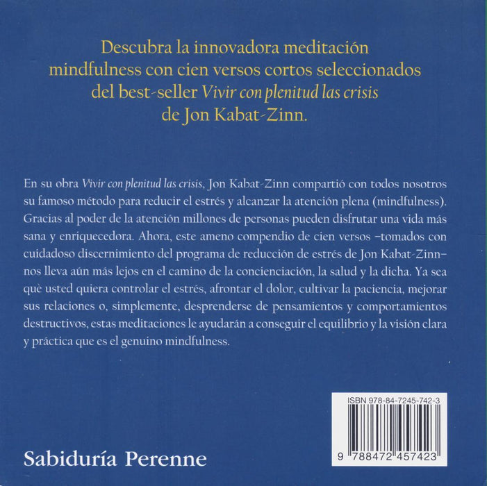 El Poder de la Atención   100 Lecciones sobre el Mindfulness