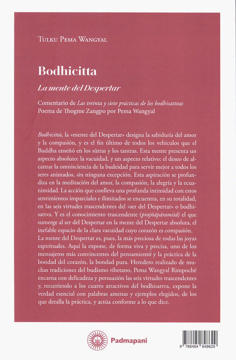 Bodhicitta   La Mente del Despertar