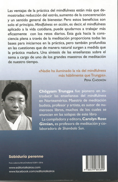 Mindfulness en acción.  Guía para la conciencia plena a través de la meditación - NALANDA | Tu motor de búsqueda interna