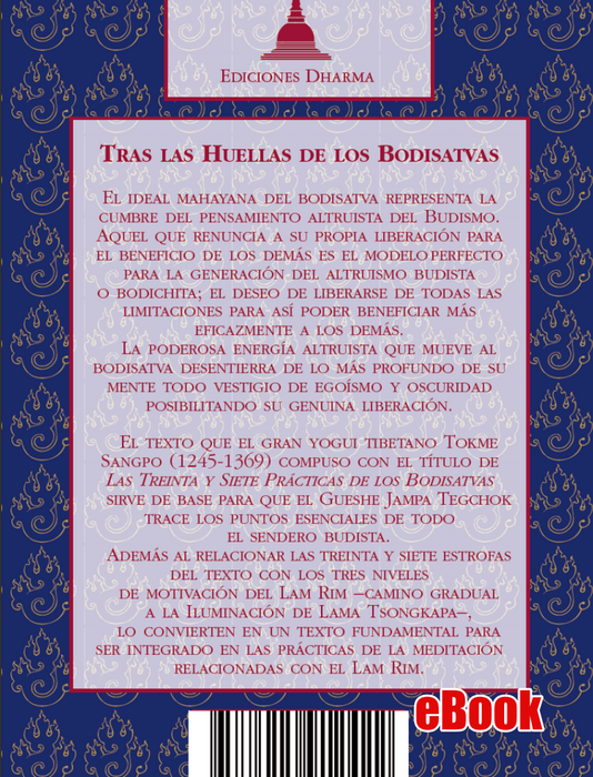 Tras Las Huellas De Los Bodhisattvas